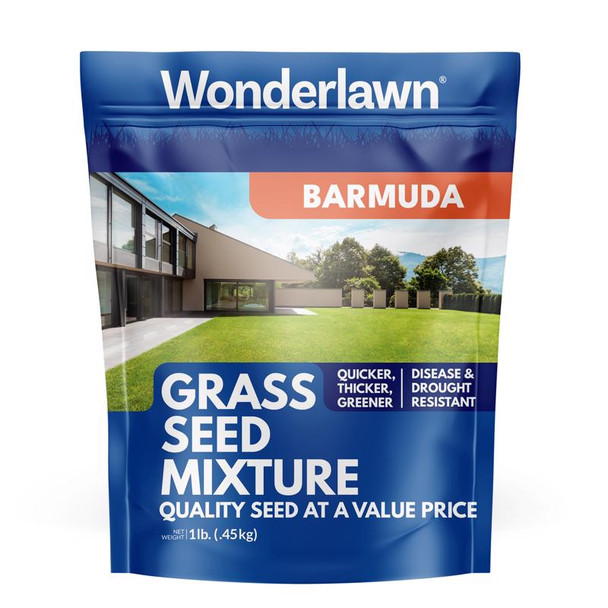 BARMUDA BERMUDA GRASS 1#