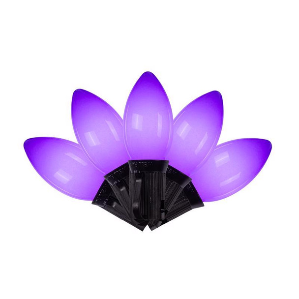 Celebrations Classic Halloween Purple C9 LED String Lights – 25 Bulbs