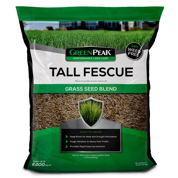 GREENPEAK TALL FESCUE 20