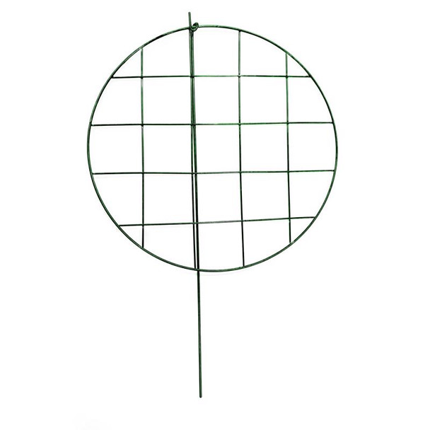 PLNT SPRT MTL GRN 24"