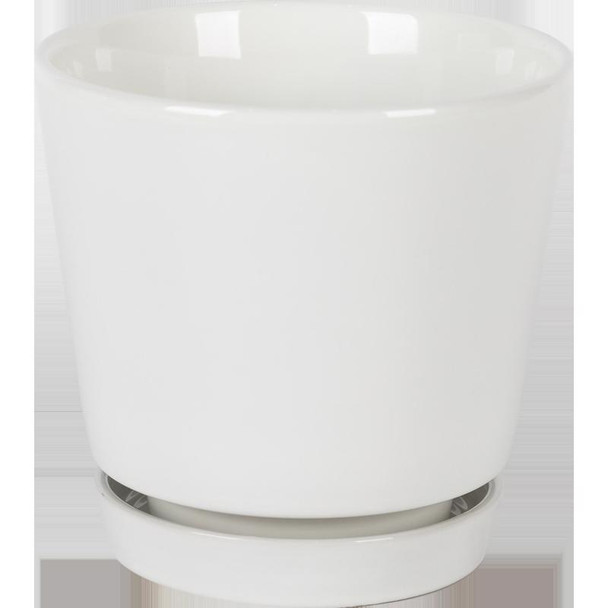 PLNTR CRMC WHT 10"