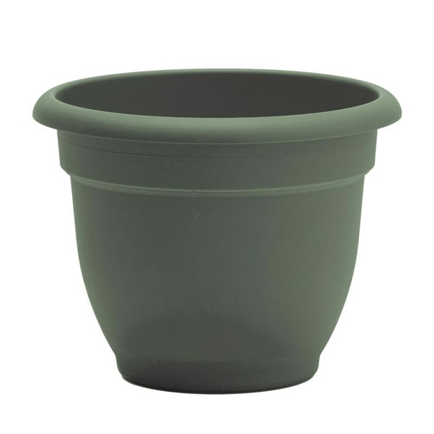 PLNTR ARNA GRN 12"