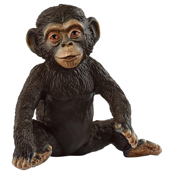FGRN CHMPNZ CUB BRW/BLK
