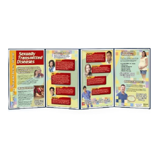 STDs Display   "What You Should Know About STDs" (79087)