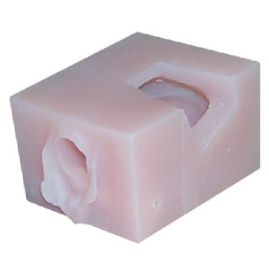 Female Pelvis Contraceptive Demonstration Model   Single