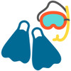 Snorkel Gear