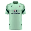 Cam Bulldogs FC SNR Mint/Bottle Green Training T-Shirt