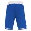SNR Thorium Basketball Shorts