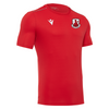 Viney St. Swithins FC SNR Training T-Shirt