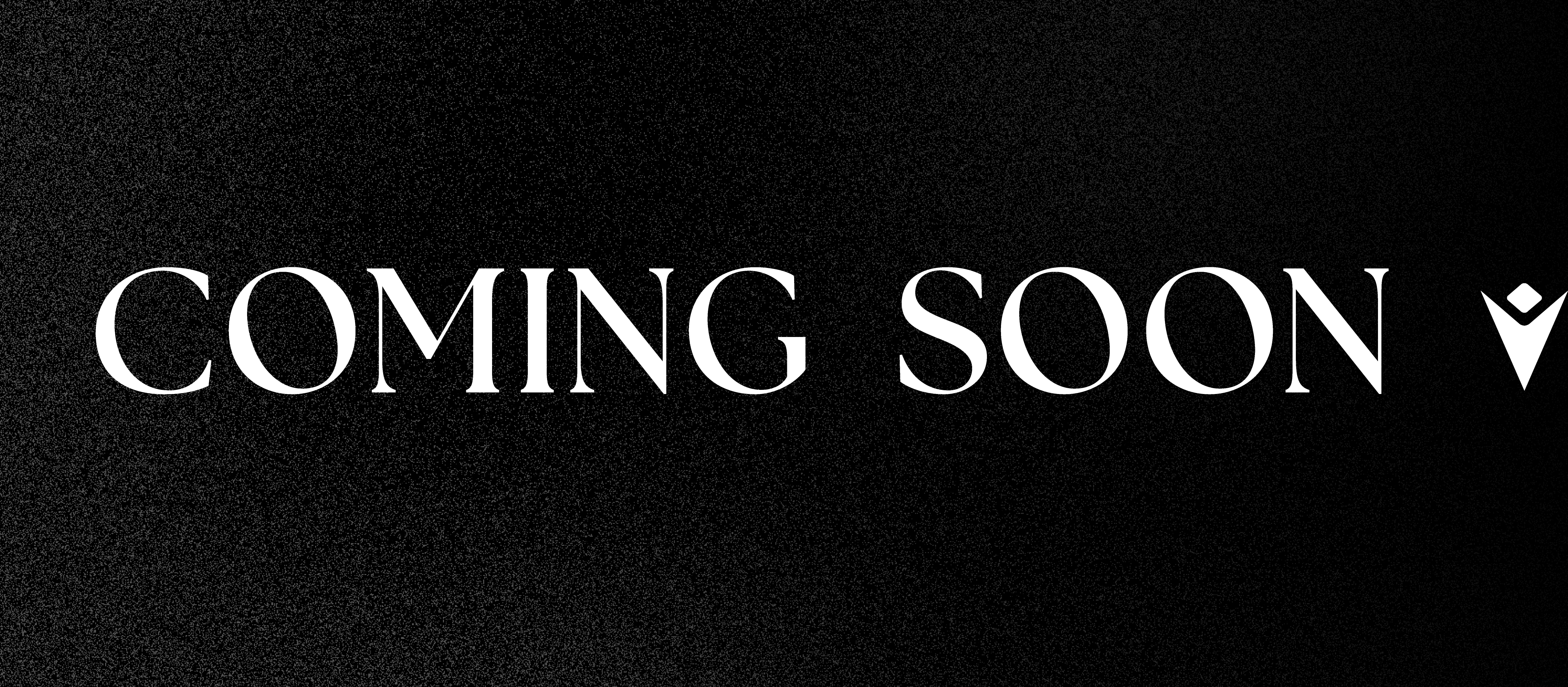 Black Friday banner part 2