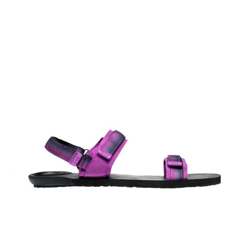 Lundy Purple