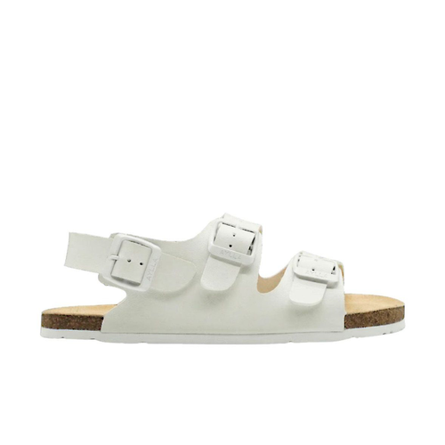 Arena White