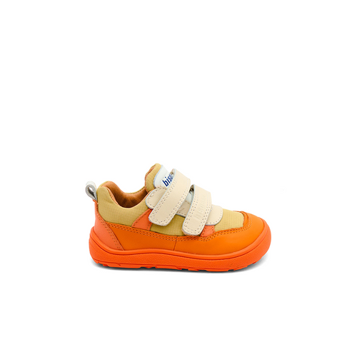 Elroy Orange