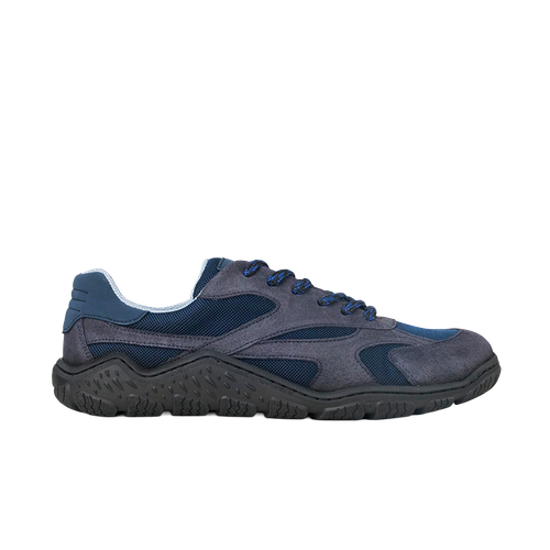 Rexi Blue