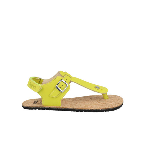 Abriana Nappa Lime