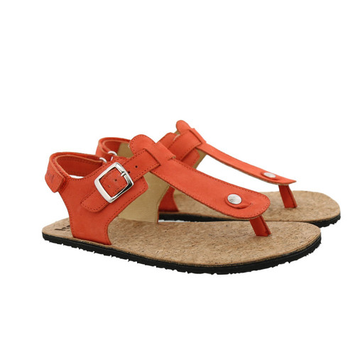 Ariana Nappa Coral