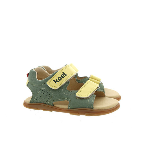 Ova Olive