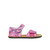 Amelia Fuchsia