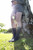 Trail Midweight Crew Coolmax Granite