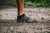Baresocks