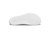 Velocity All White