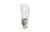 Dillon Leather Women White