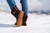 Polar Stride Copper Brown
