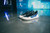 Futura - Iridescent Black