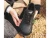 Pulse All Black
