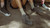 Primus Trail Flow Ladies Dark Shadow
