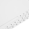 Bottom Numbered Dividers  26-50