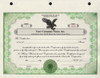 Custom Printed Corporate Stock Certificates
