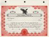 Custom Printed Corporate Stock Certificates