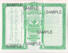 Goes 364 Capital Stock Certificates