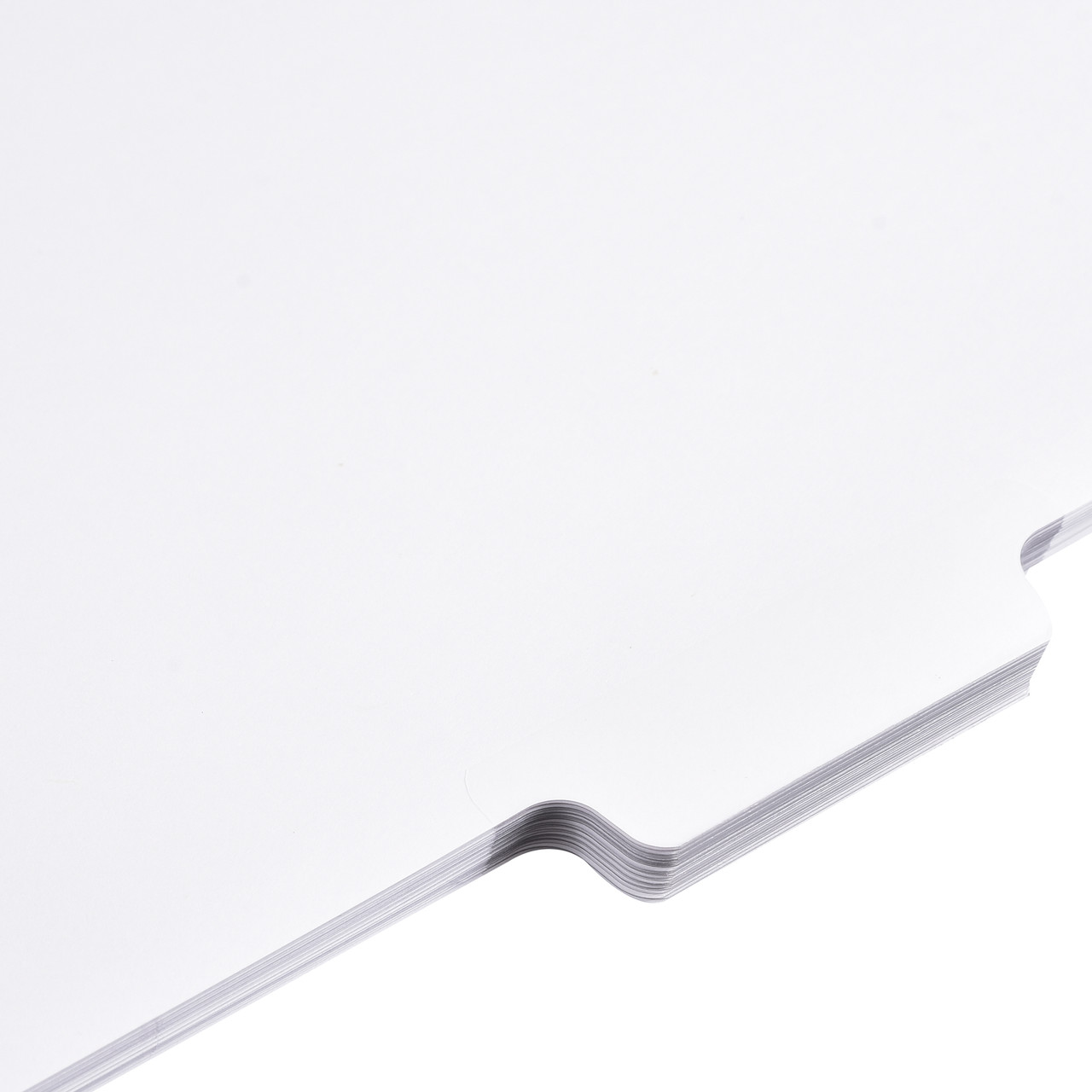 Blank Side Separate Position Laminated Tab - ExhibitIndexes.com