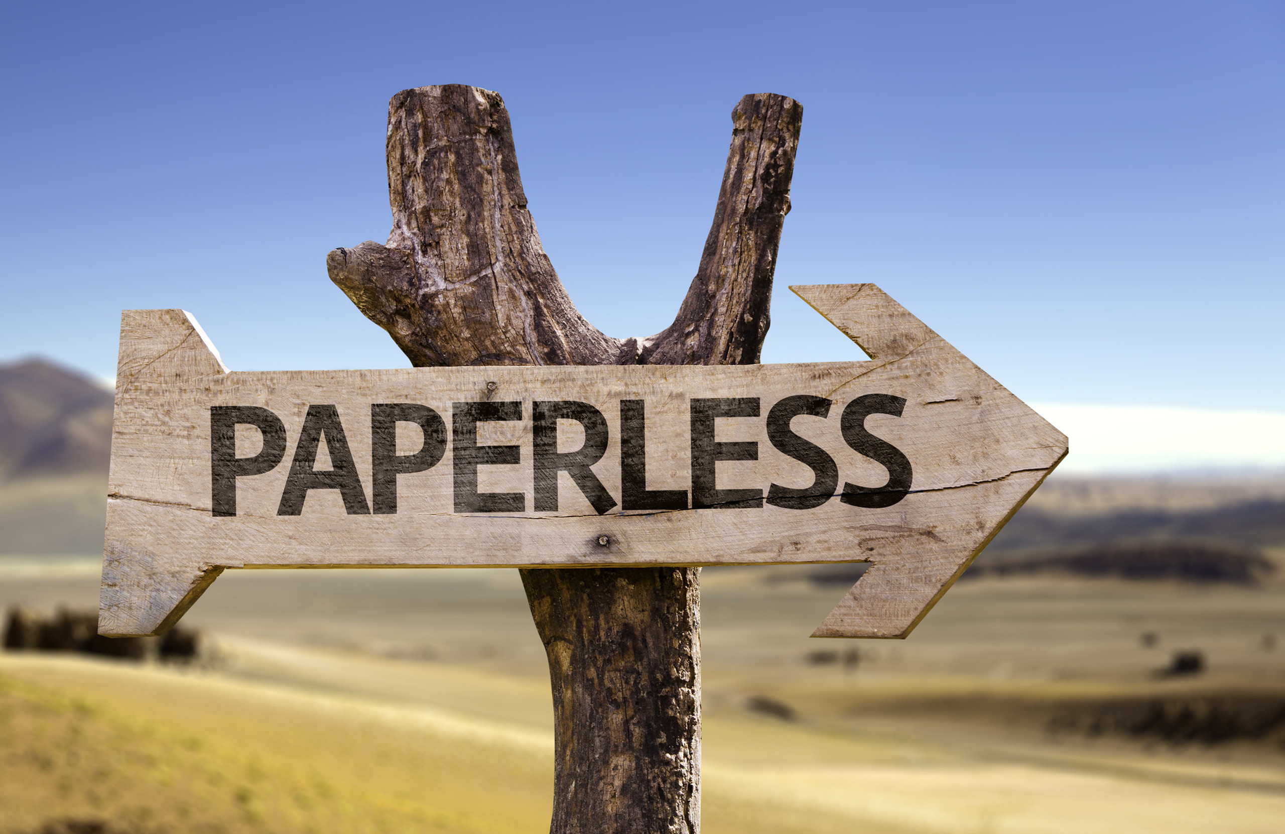 Paper vs Digital Should You Consider Going Paperless?