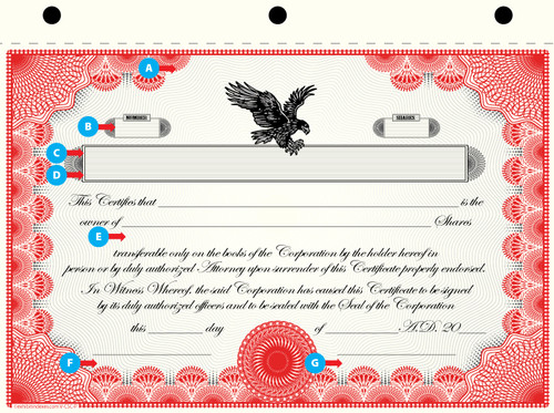 Custom Printed Corporate Stock Certificates