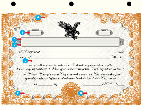 Custom Printed Corporate Stock Certificates