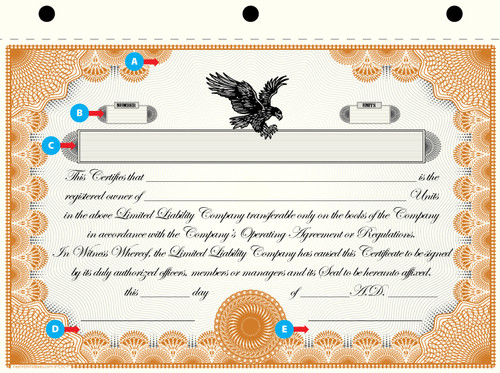 Custom Printed LLC Certificates