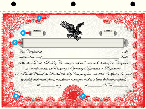Custom Printed LLC Certificates