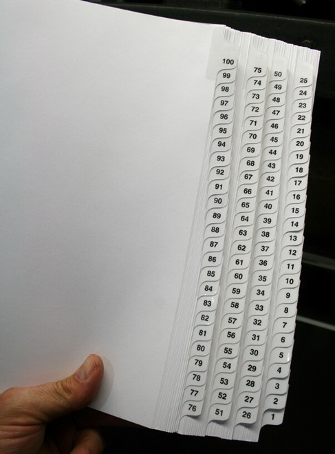 Numbered Dividers 1-100 Punched