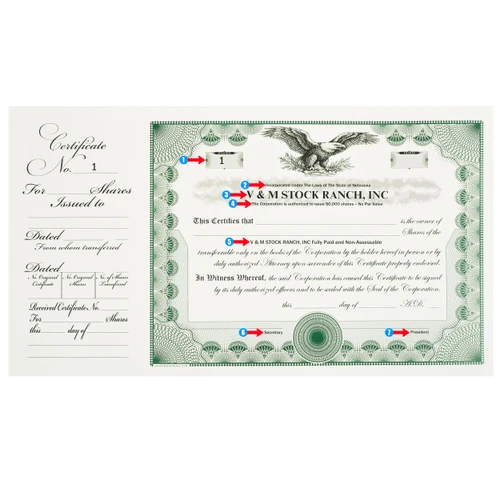 Custom Printed Stock Certificates Legal Size