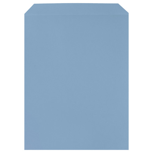  Custom Printed Blue Backs (Priced per 50) With Back Copy