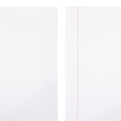  Exhibitindexes 403CR Letter Size Red Ruled 50 Sheets