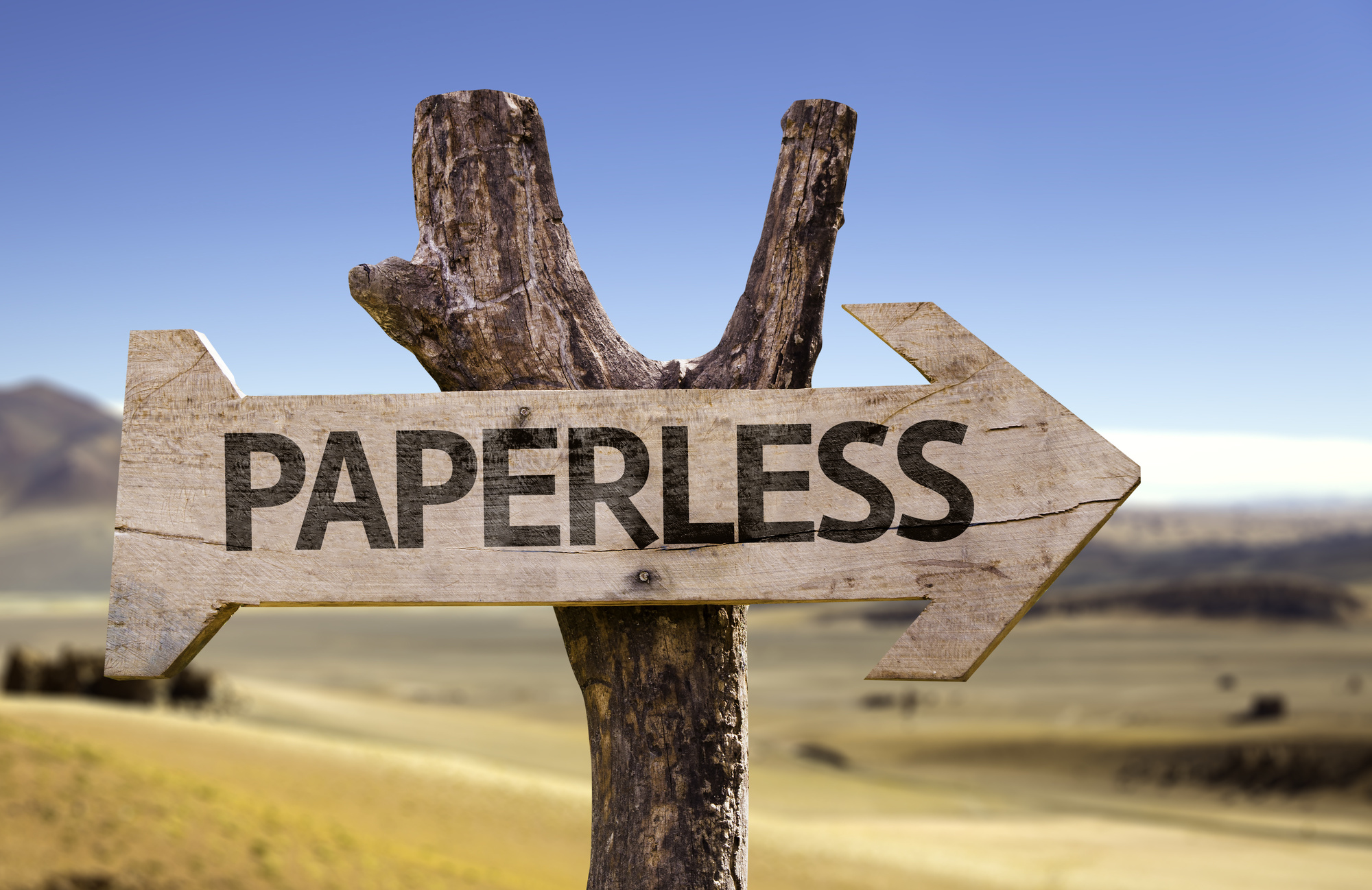 Paper vs Digital Should You Consider Going Paperless?