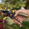 A hand pruning a crabapple branch with the Super Duty MaxForce Bypass Pruner
