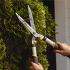 Hands trimming an arborvitae hedge with the Regular Duty Hedge Shear