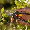 A hand using the Heavy Duty Nano-Tip Snips to trim a pea vine tendril
