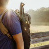 The Heavy Duty Machete in its sheath strapped to a backpack, worn in a field at sunrise