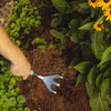 A hand raking pine straw mulch in a flower bed with the Heavy Duty Cultivator